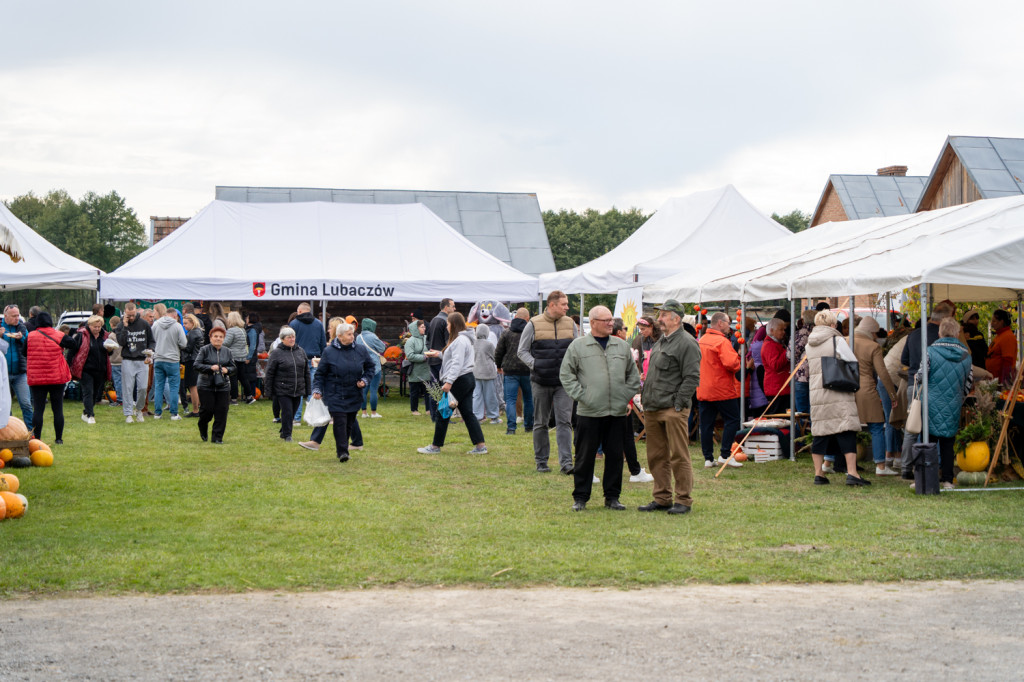 DyniaFEST & Active Roztocze 2025