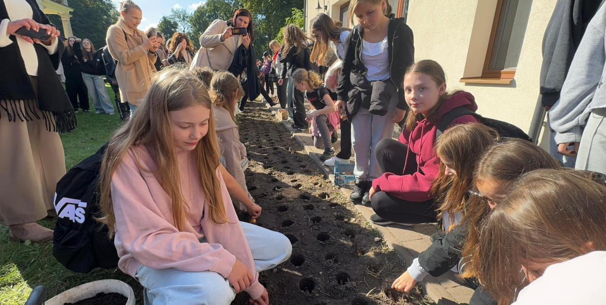 Pola Nadziei posadzone przy Hospicjum Santa Galla