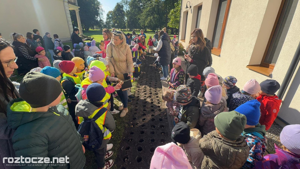 Pola Nadziei posadzone przy Hospicjum Santa Galla