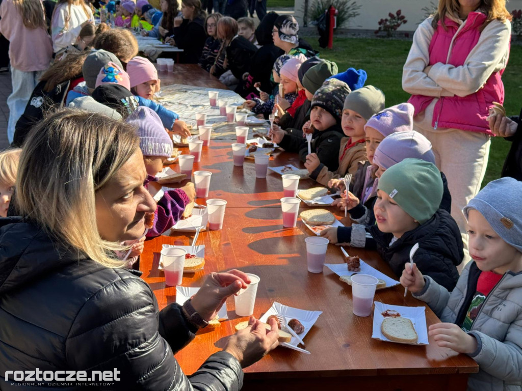 Pola Nadziei posadzone przy Hospicjum Santa Galla