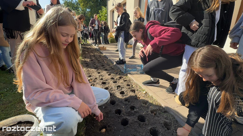 Pola Nadziei posadzone przy Hospicjum Santa Galla