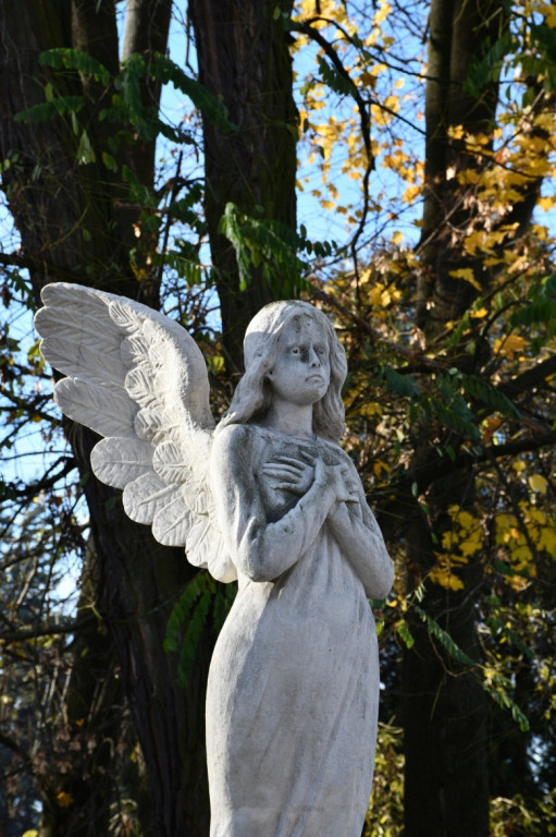 Kwesta 1 listopada na cmentarzu