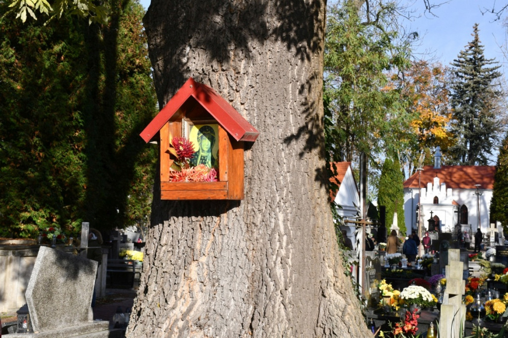 Kwesta 1 listopada na cmentarzu