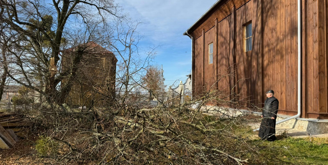 Drzewo runęło przy kościele w Dubie