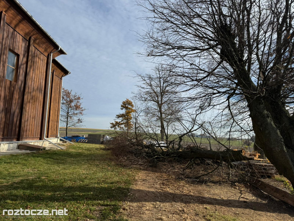Drzewo runęło przy kościele w Dubie