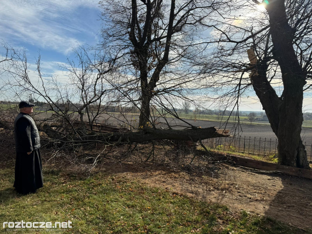 Drzewo runęło przy kościele w Dubie
