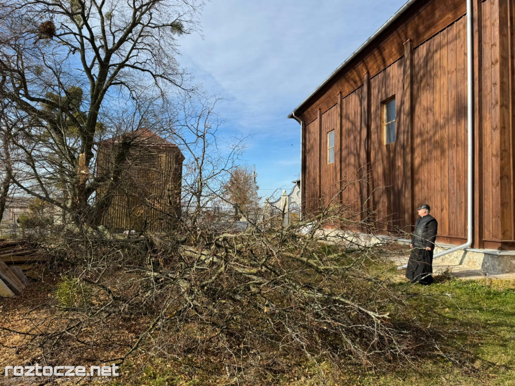 Drzewo runęło przy kościele w Dubie