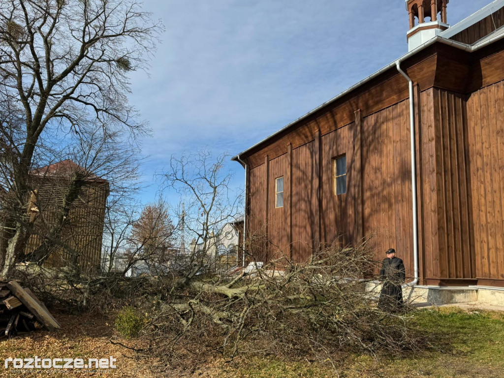 Drzewo runęło przy kościele w Dubie
