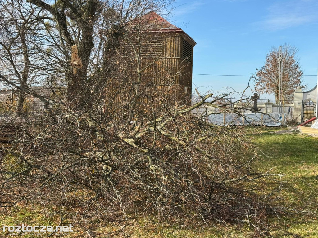 Drzewo runęło przy kościele w Dubie
