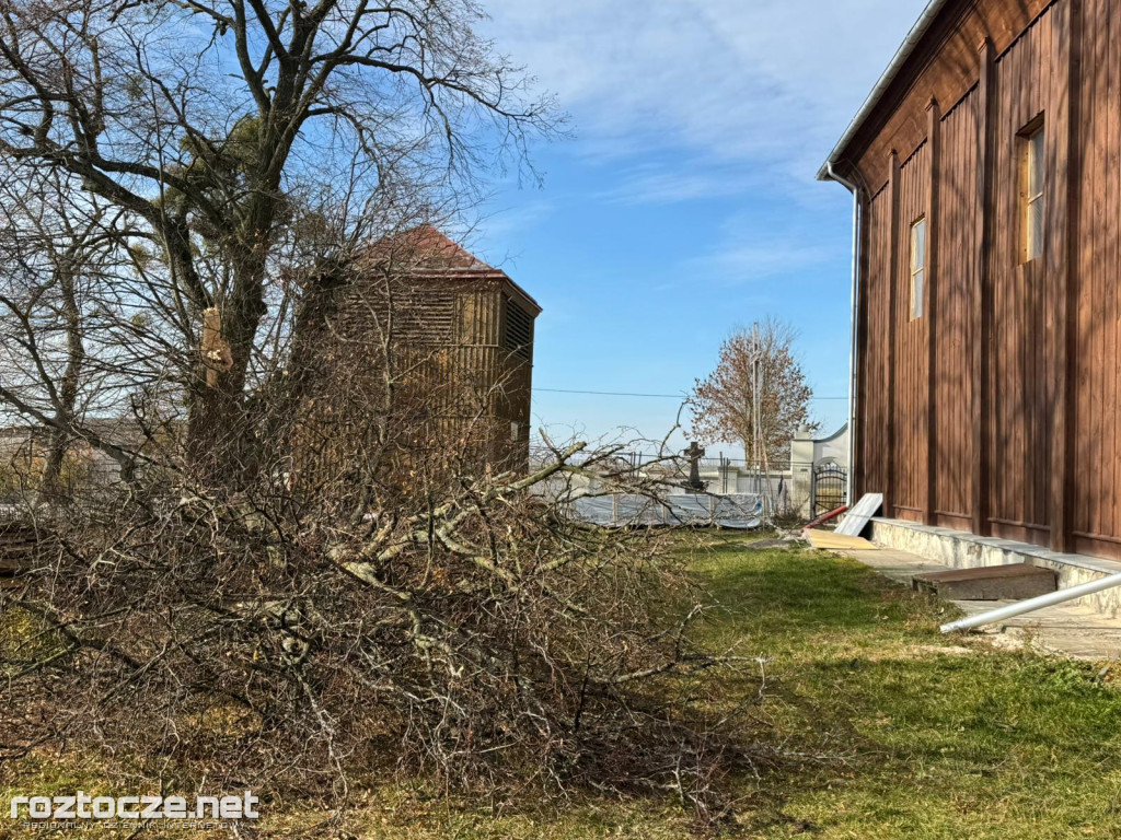 Drzewo runęło przy kościele w Dubie