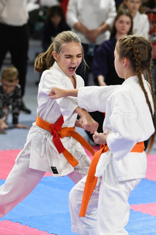 XIII Turniej o Puchar Mikołaja w Karate w Zamościu