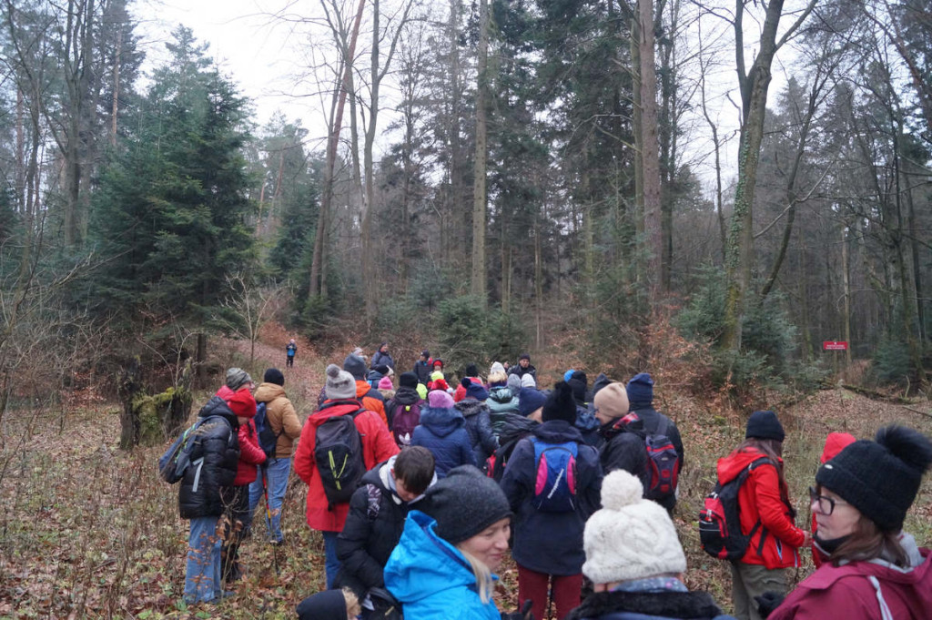 Zimowy Rajd Pieszy z Mikołajem