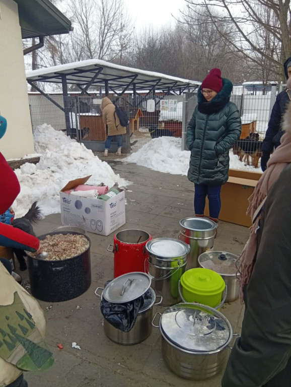 WTZ z Zamościa gotuje bezdomnym zwierzętom