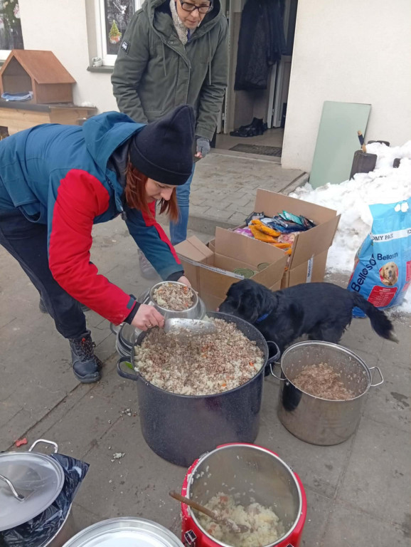 WTZ z Zamościa gotuje bezdomnym zwierzętom