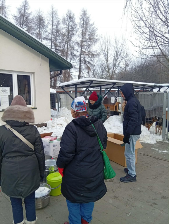 WTZ z Zamościa gotuje bezdomnym zwierzętom