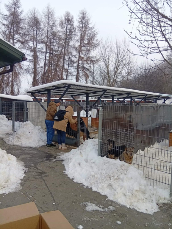 WTZ z Zamościa gotuje bezdomnym zwierzętom