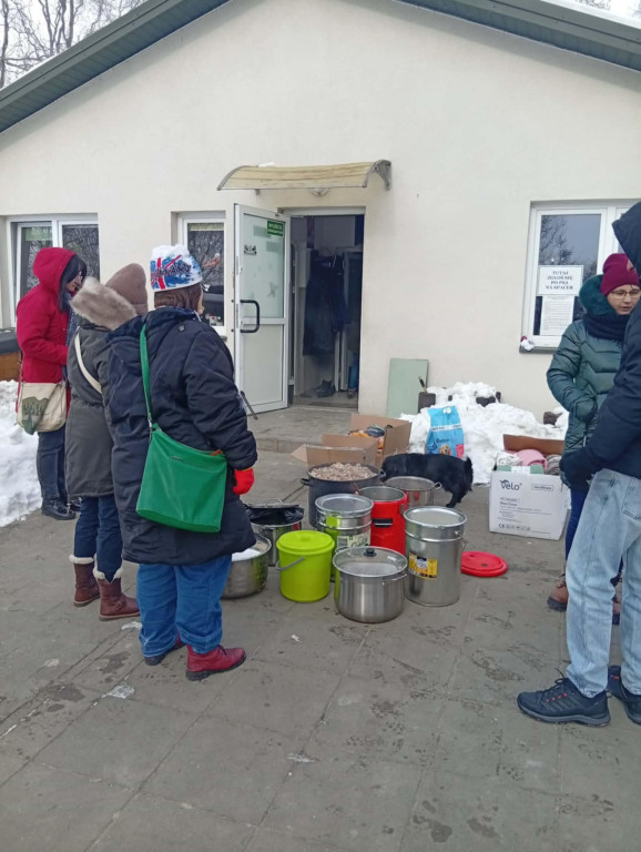 WTZ z Zamościa gotuje bezdomnym zwierzętom
