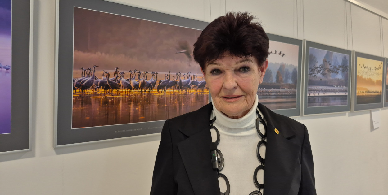 Nie tylko ptaki - wystawa Elżbiety Rogaczewskiej-Czępińskiej