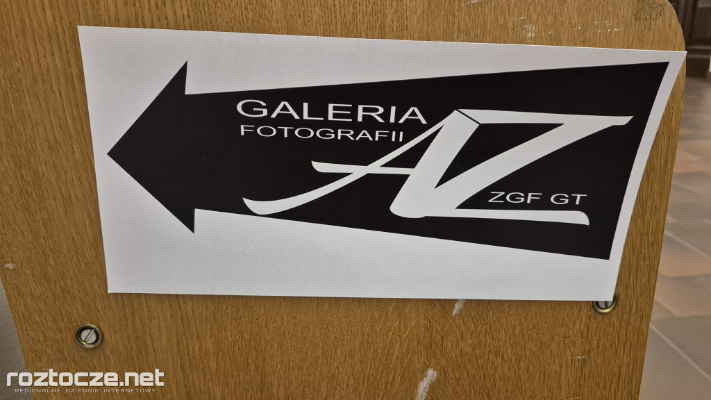 Nie tylko ptaki - wystawa Elżbiety Rogaczewskiej-Czępińskiej