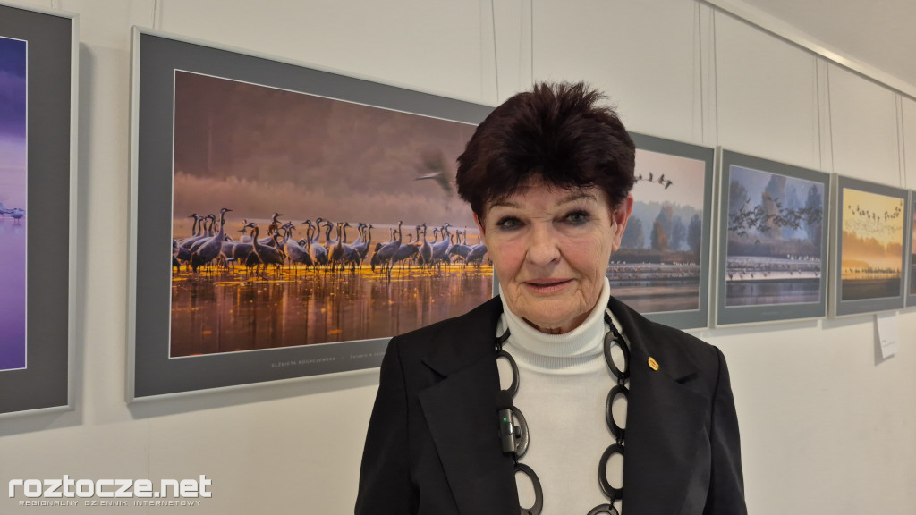 Nie tylko ptaki - wystawa Elżbiety Rogaczewskiej-Czępińskiej