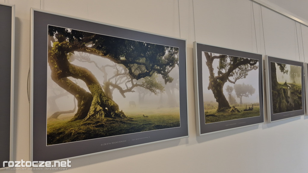 Nie tylko ptaki - wystawa Elżbiety Rogaczewskiej-Czępińskiej