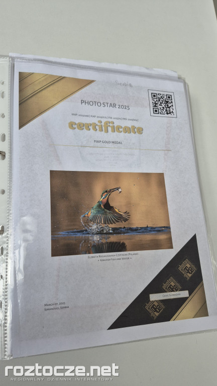 Nie tylko ptaki - wystawa Elżbiety Rogaczewskiej-Czępińskiej