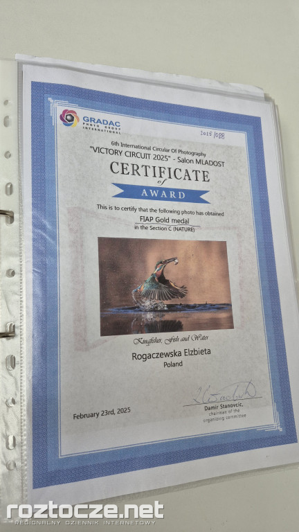 Nie tylko ptaki - wystawa Elżbiety Rogaczewskiej-Czępińskiej