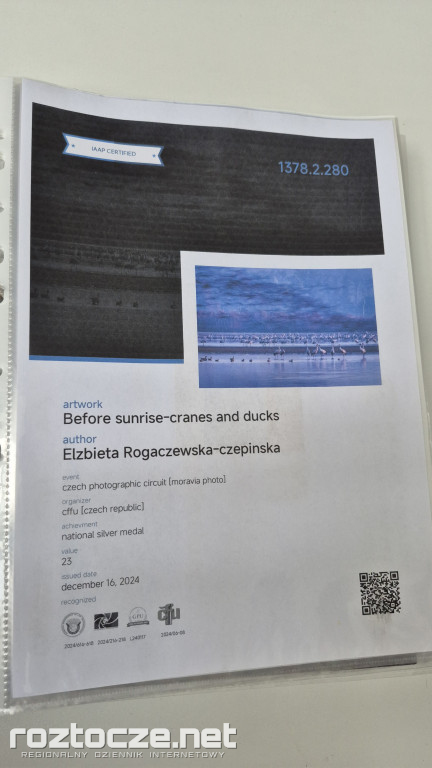 Nie tylko ptaki - wystawa Elżbiety Rogaczewskiej-Czępińskiej