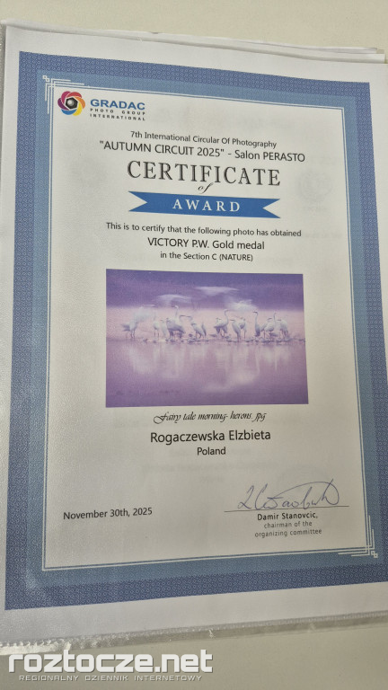 Nie tylko ptaki - wystawa Elżbiety Rogaczewskiej-Czępińskiej