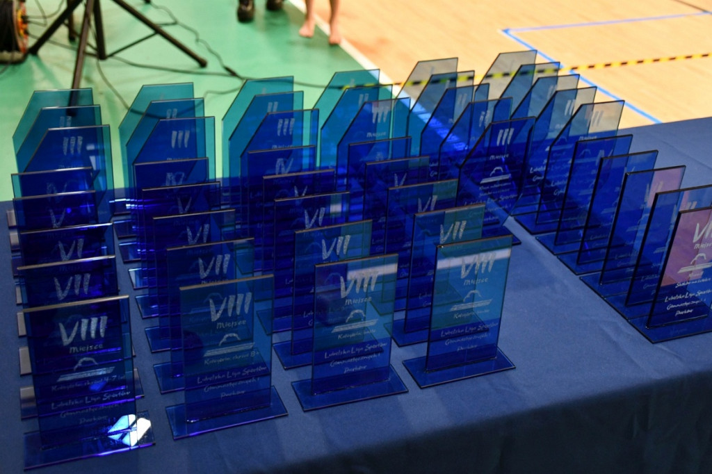 Lubelska Liga Sportów Gimnastycznych luty 2026