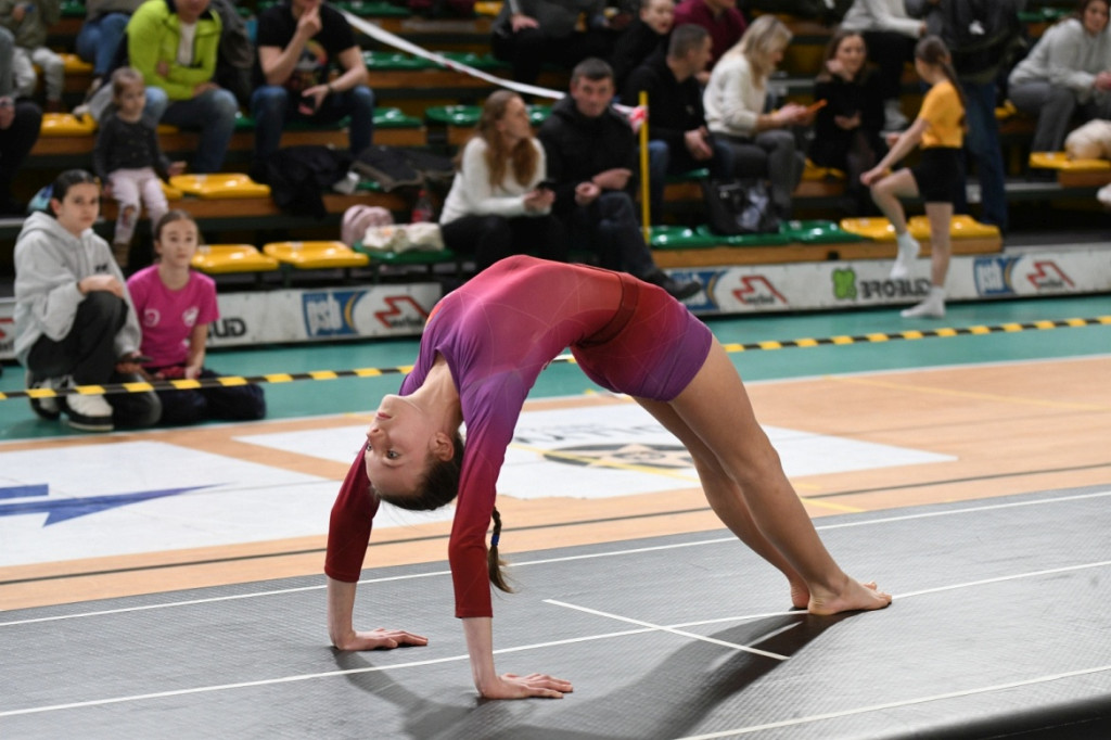 Lubelska Liga Sportów Gimnastycznych luty 2026