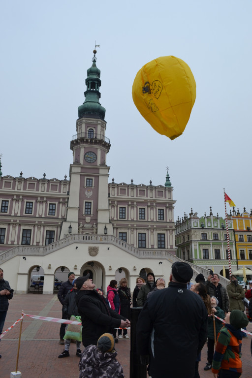 XXIII Zawody Modeli Balonów w Zamościu