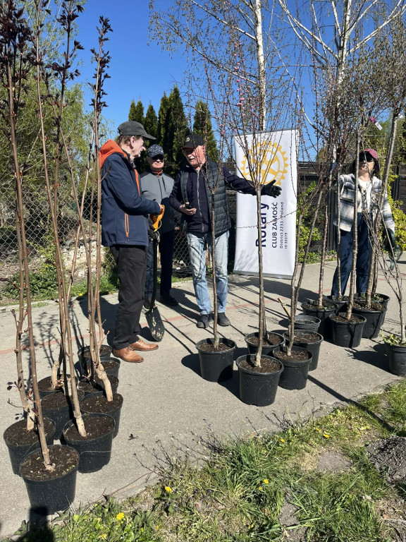 Zielone płuca dla Zamościa
