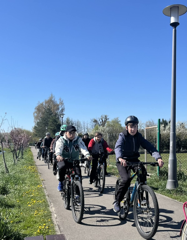 Zielone płuca dla Zamościa