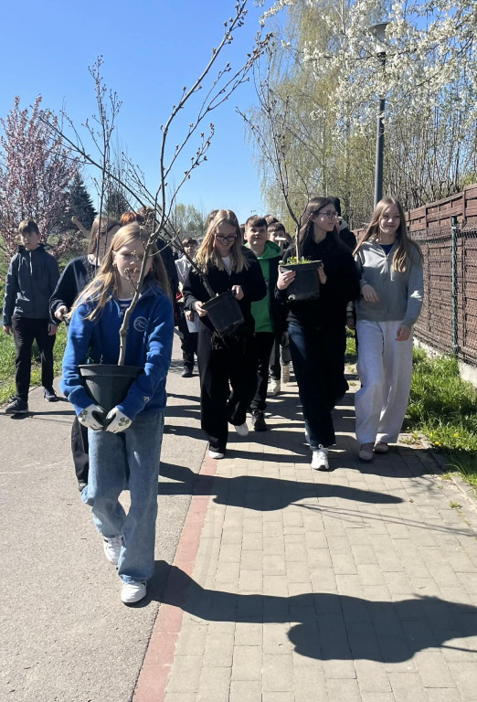 Zielone płuca dla Zamościa