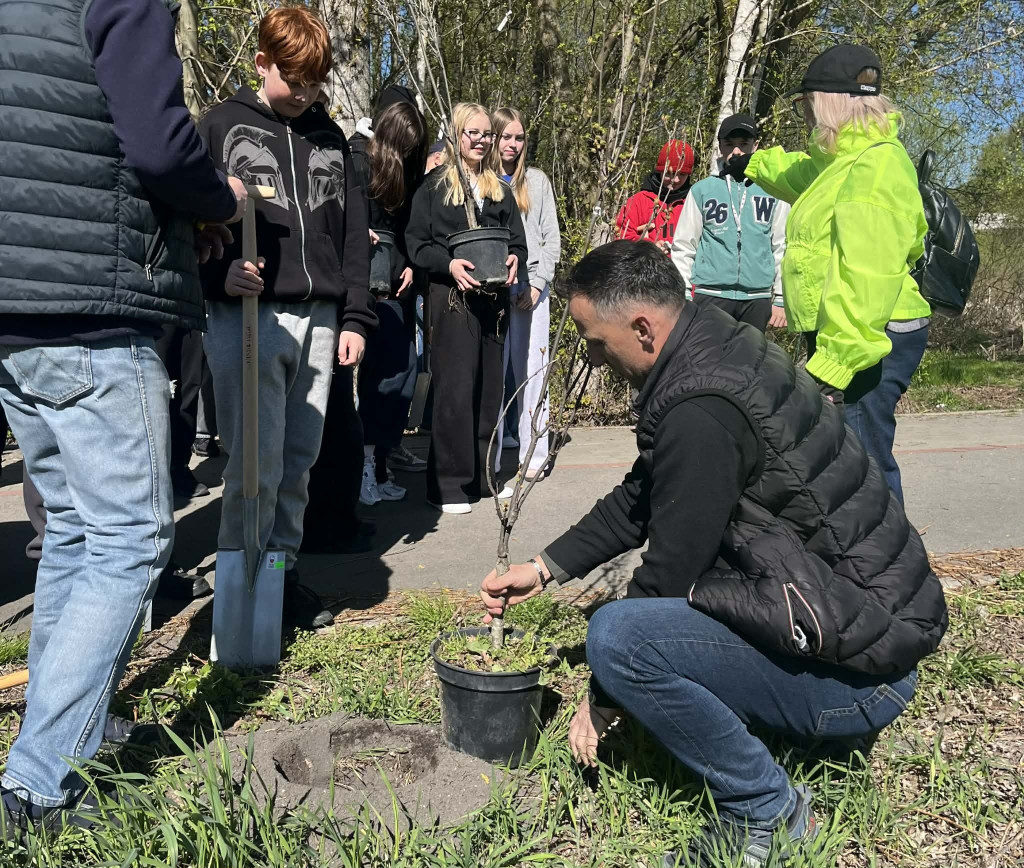 Zielone płuca dla Zamościa