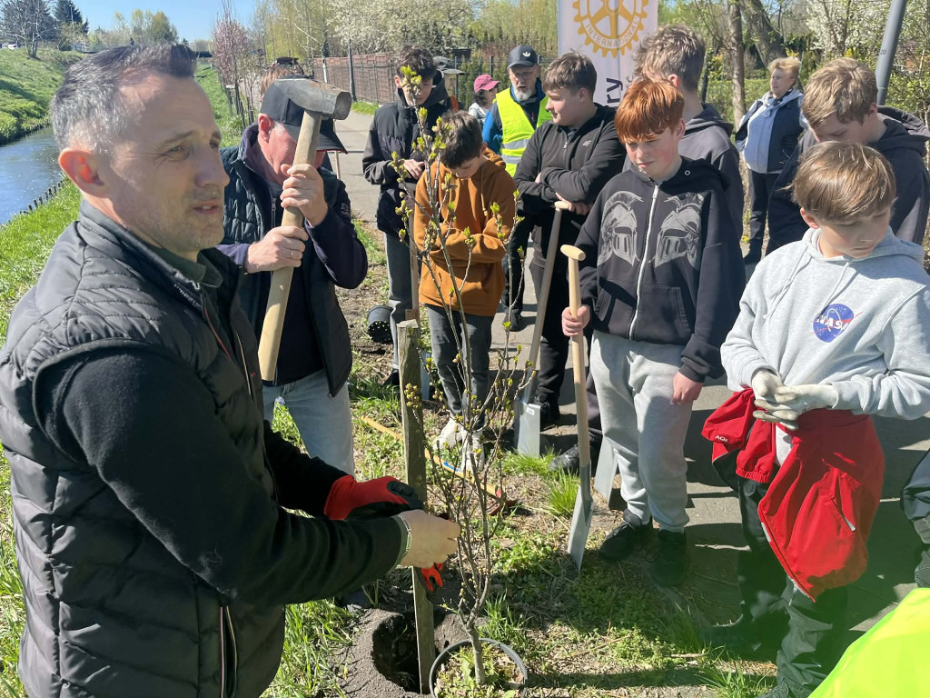 Zielone płuca dla Zamościa