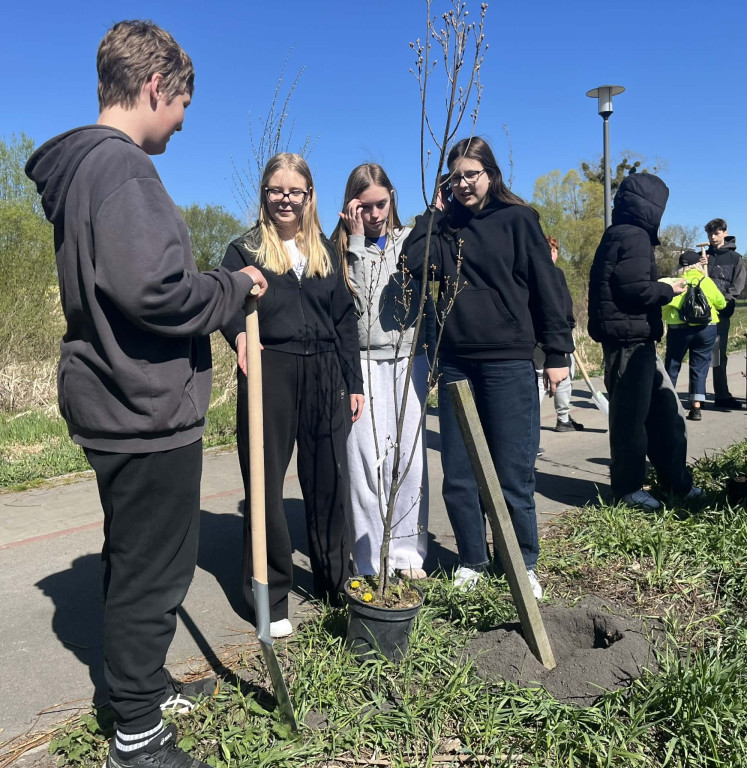 Zielone płuca dla Zamościa