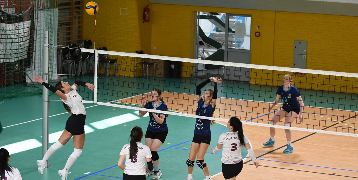 Charytatywny turniej siatkówki kobiet dla Tomka