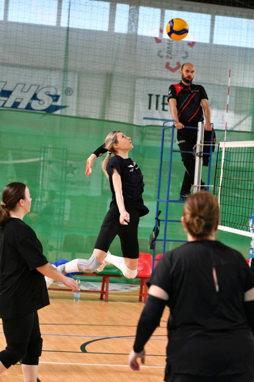 Charytatywny turniej siatkówki kobiet dla Tomka