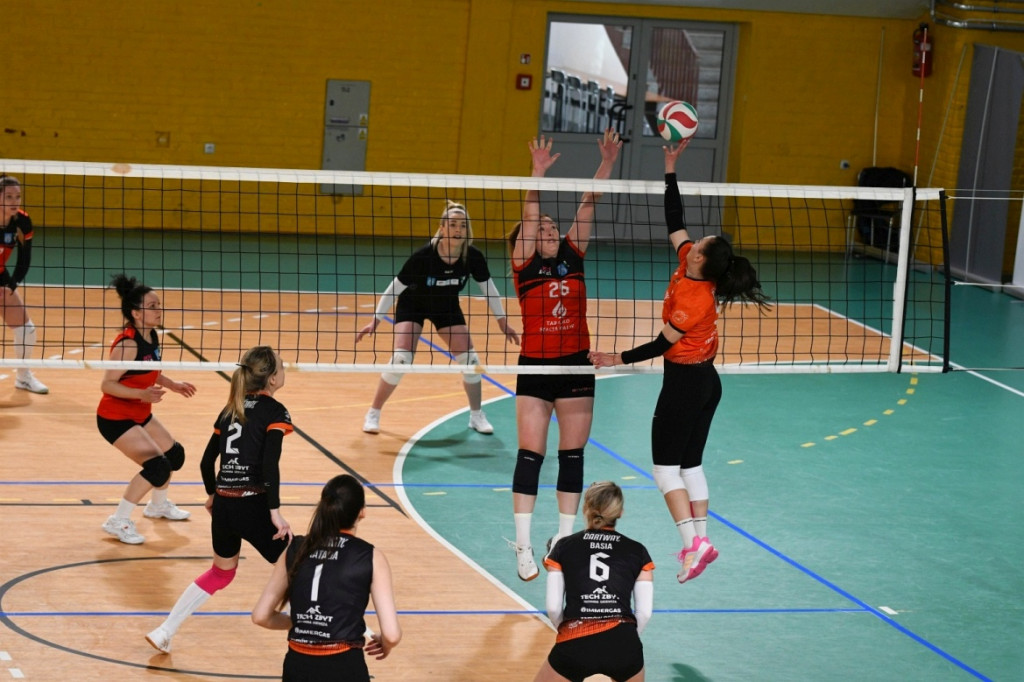 Charytatywny turniej siatkówki kobiet dla Tomka