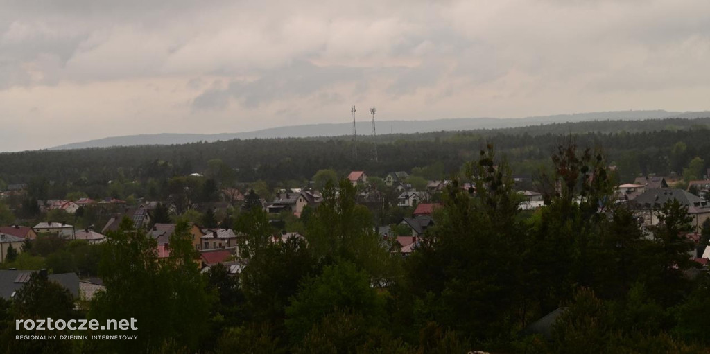 Puszcza Solska - zdjęcia po wielkim pożarze