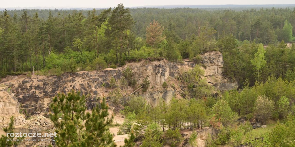 Puszcza Solska - zdjęcia po wielkim pożarze