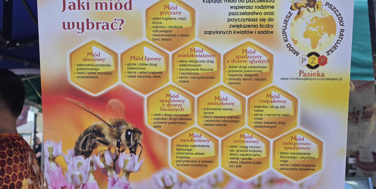 XI Festiwal Żywności Wolnej od GMO w Zamościu