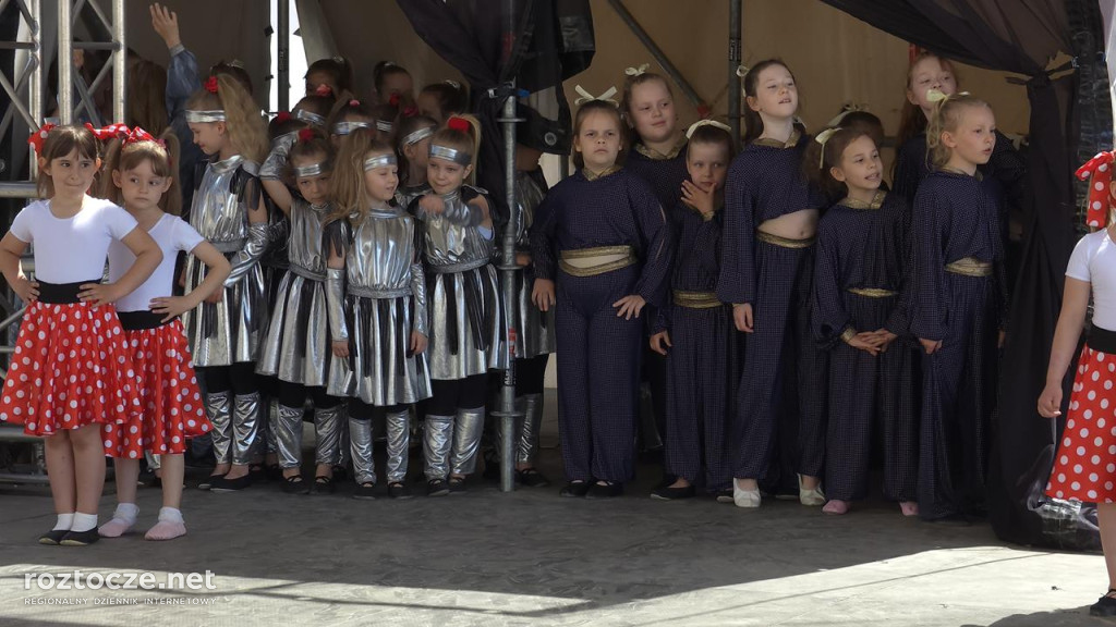 XI Festiwal Żywności Wolnej od GMO w Zamościu