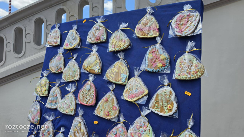 XI Festiwal Żywności Wolnej od GMO w Zamościu