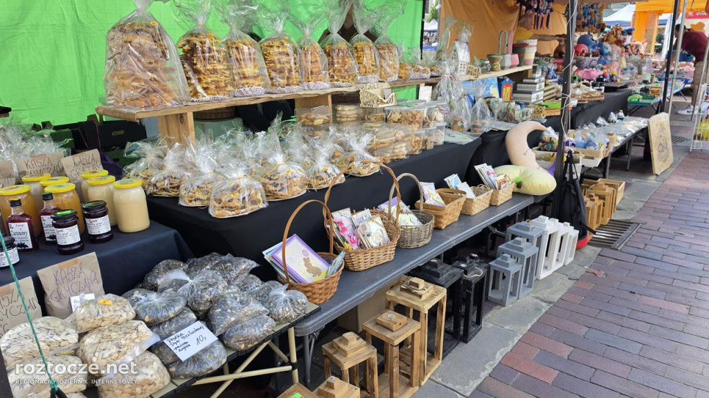 XI Festiwal Żywności Wolnej od GMO w Zamościu