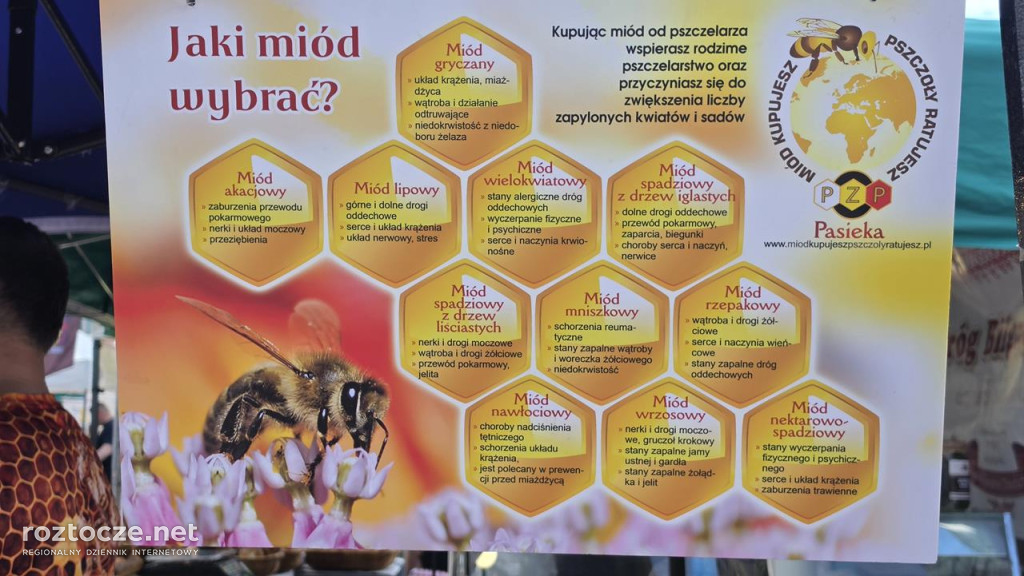 XI Festiwal Żywności Wolnej od GMO w Zamościu