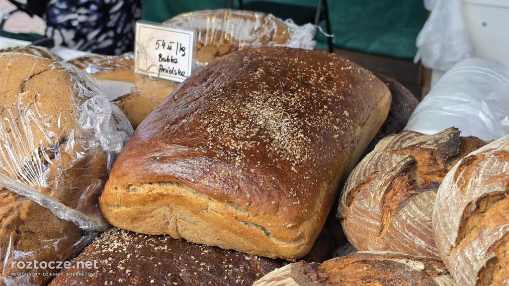 XI Festiwal Żywności Wolnej od GMO w Zamościu
