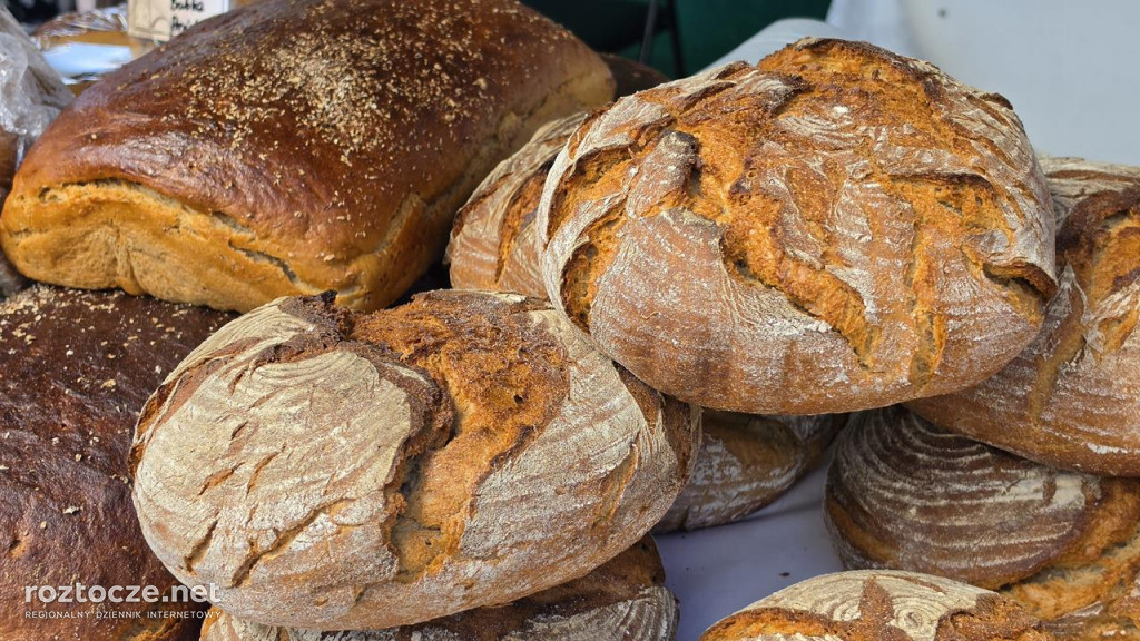 XI Festiwal Żywności Wolnej od GMO w Zamościu
